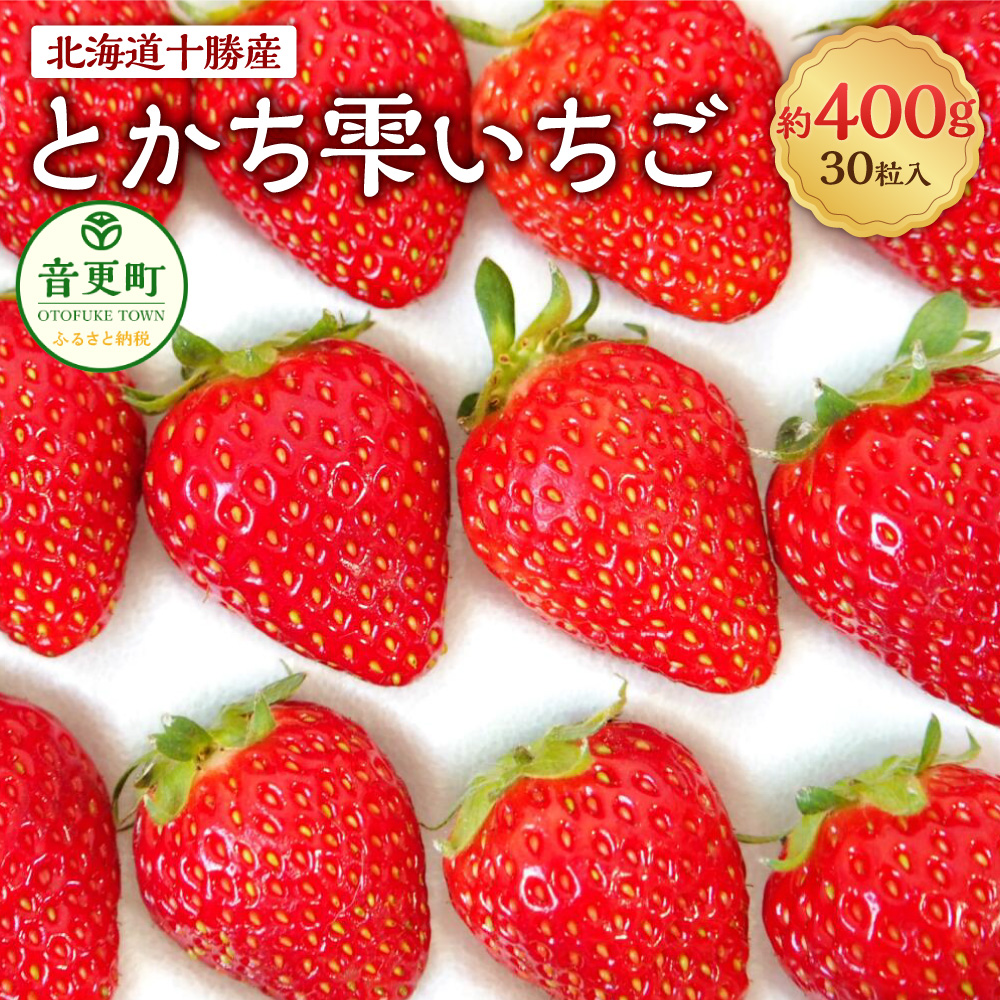【ふるさと納税】【先行受付】＜2025年5月下旬より順次発送予定＞ 十勝の青空と恵みの水で育った「とかち雫いちご」【A62】 30粒 約400g いちご イチゴ 苺 フルーツ ベリー ストロベリー 果物 よつぼし 高級 数量限定 冷蔵 北海道 音更町 送料無料