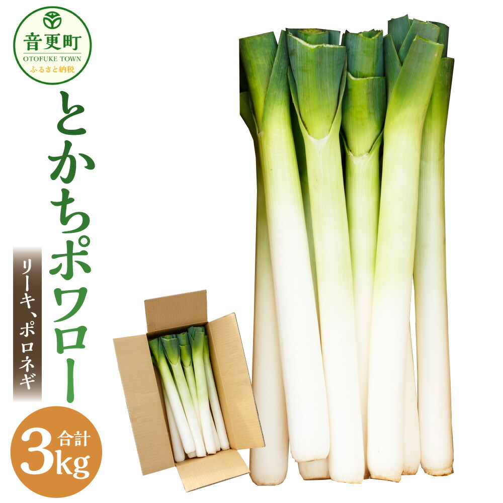リーキ　ポワローネギ　ポロネギ　西洋ネギ　10キロ 楽天市場】ポロネギ ポワロー（リーキ）たけなかファーム 国産野菜