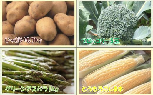 【ふるさと納税】【先行受付】おとふけの味覚セット（4回コース）【L11】【2025年5月中旬より順次発送】4種類 グリーンアスパラ アスパラ アスパラガス とうもろこし コーン 男爵いも じゃがいも ブロッコリー 野菜 十勝 セット 詰め合わせ 北海道 音更町 送料無料