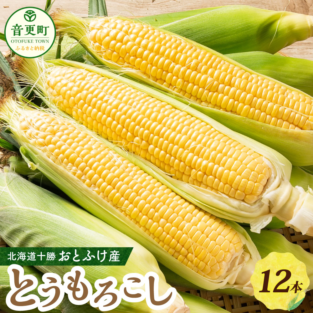 【ふるさと納税】【先行受付】おとふけ産とうもろこし 12本【2025年8月上旬頃より順次発送】 トウモロコシ コーン 野菜 やさい  十勝 冷蔵 北海道 音更町 送料無料