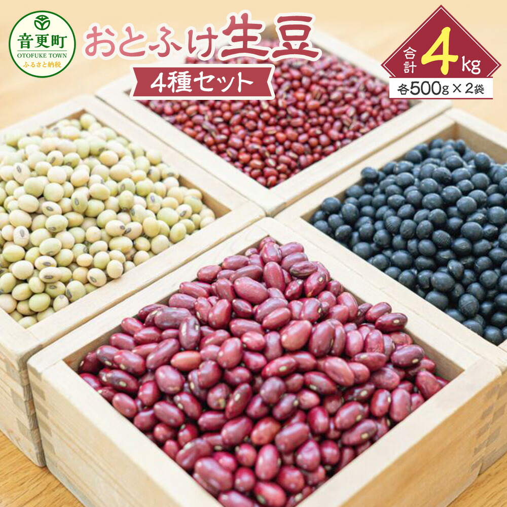 【ふるさと納税】【令和6年産】「JAおとふけ」 おとふけ生豆セット 500g×2袋×4種類 合計4kg 小豆 大豆 黒豆 金時豆 音更大袖振大豆 生豆 あずき だいず くろまめ きんときまめ 詰め合わせ お取り寄せ 十勝 常温 国産 北海道 音更町 送料無料