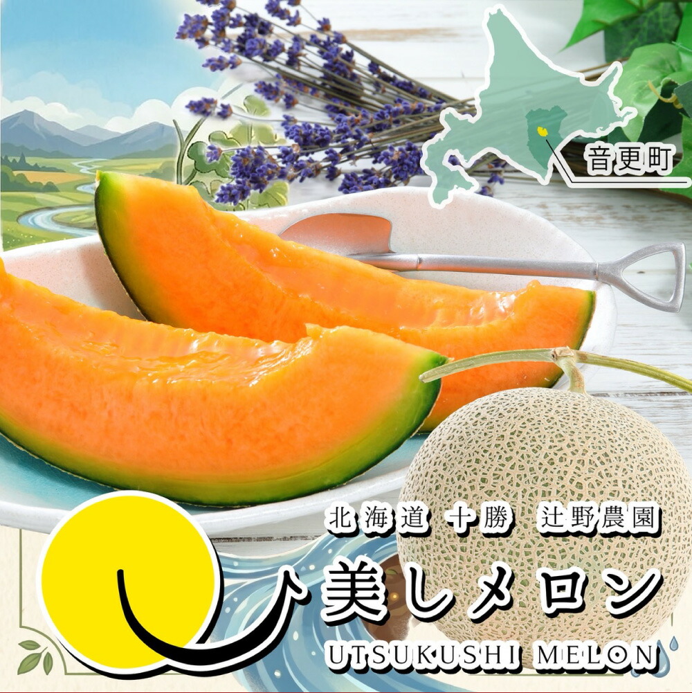 【ふるさと納税】＜選べる内容量＞美しメロン 1玉1.6kg以上 2個入 / 4個入 メロン めろん フルーツ くだもの 果物 果実 デザート 北海道産 国産 北海道 音更町 送料無料 【2026年7月上旬～8月下旬発送予定】｜北海道音更町 11,250円
