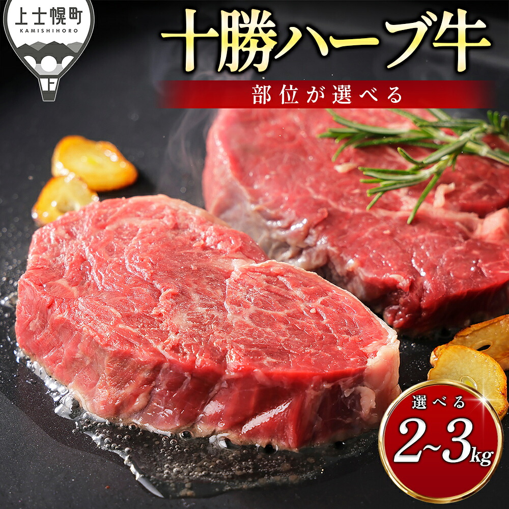 【ふるさと納税】十勝ハーブ牛 ブロック 選べる 2～3kg ブロック肉 国産 北海道 牛 肉 牛肉 国産牛 赤身 ヒレ フィレ サーロイン 塊 キャンプ アウトドア BBQ 冷凍 発送時期が選べる｜北海道上士幌町