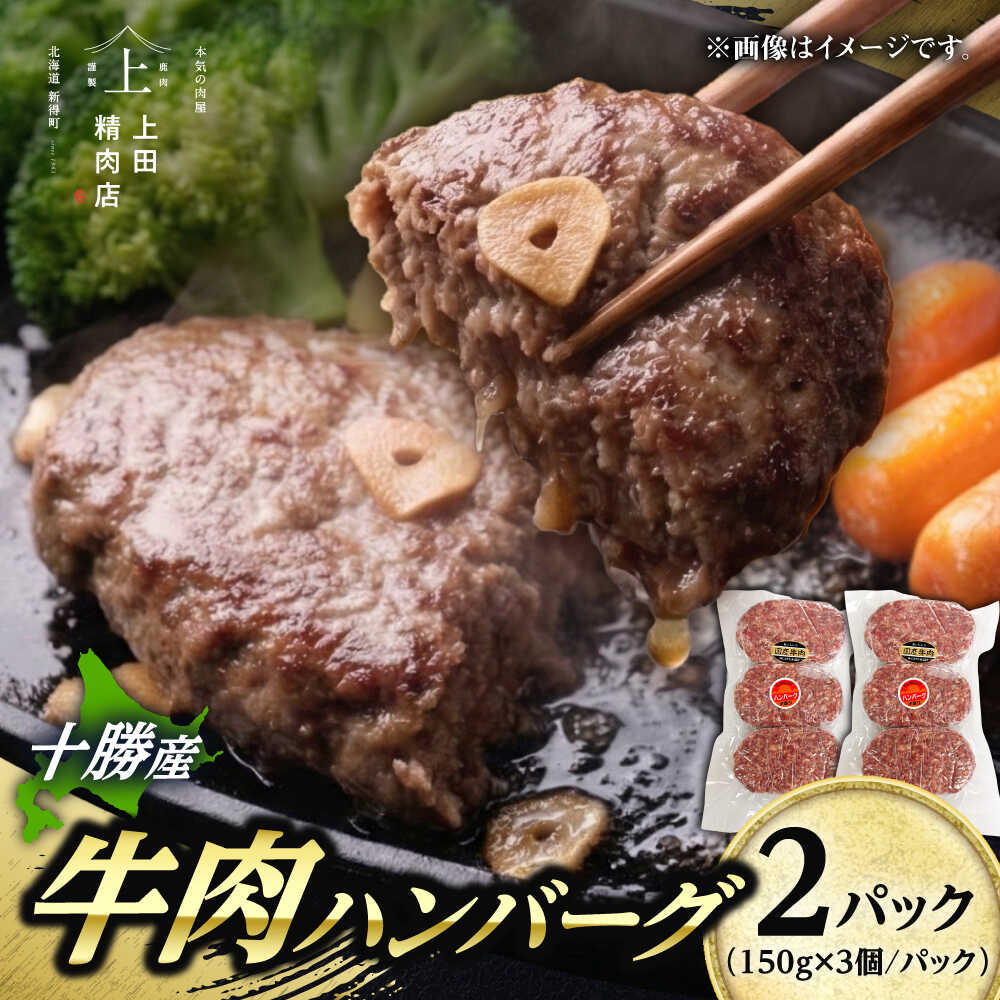 【ふるさと納税】十勝産 上田の牛肉ハンバーグ 900g | 株式会社上田精肉店[BNAM031]