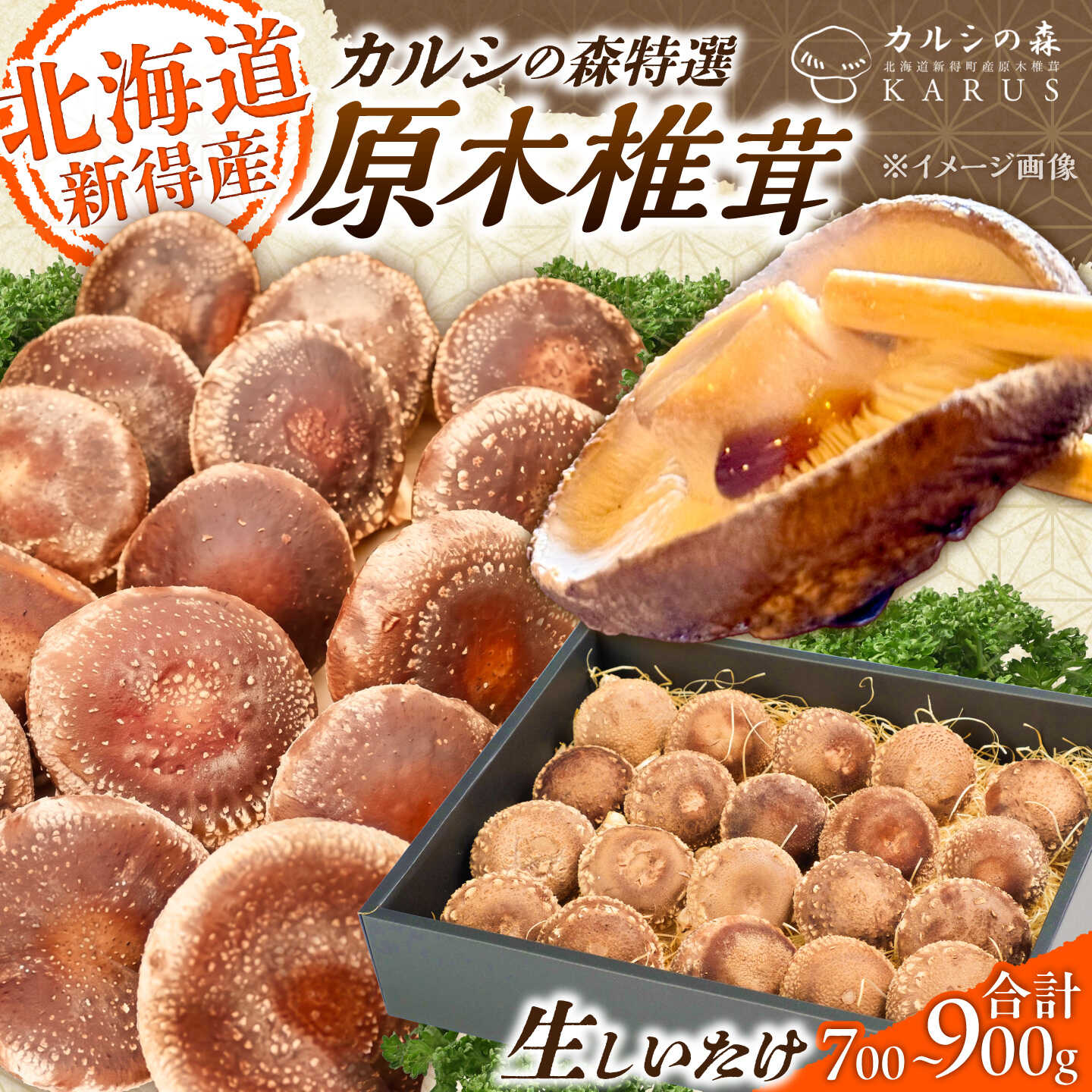 【ふるさと納税】原木 生しいたけ 700g～900g | 合同会社カルシ[BNAU002]｜北海道新得町