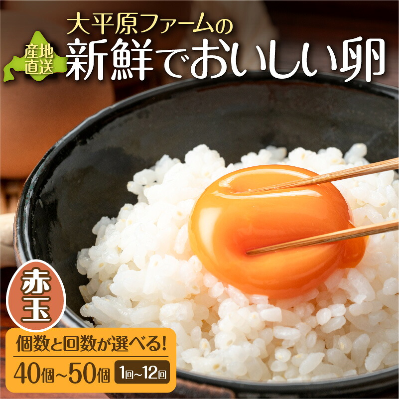 【ふるさと納税】 選べる! 内容量 と 定期便 大平原ファームの新鮮でおいしい卵(赤卵) たまご 卵 卵料理 朝食 生卵 卵かけご飯 玉子 タマゴ 卵焼き TKG 温泉卵 オムレツ ゆでたまご 産地直送 産直 栄養満点 まとめ買い 北海道 清水 送料無料|北海道清水町