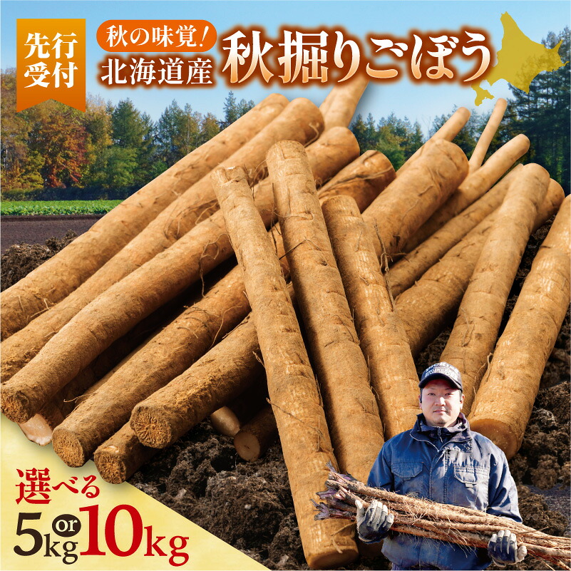 【ふるさと納税】【先行予約 2026年秋発送】北海道十勝清水町産 秋掘りごぼう 選べる 5kg ／ 10kg 土付き 手作業収穫 食物繊維豊富 新鮮 野菜 学校給食採用 おせち料理 きんぴら 煮物 素揚げ 秋の味覚 おせち おせち料理 正月 年末年始 たたきごぼう 北海道 清水町 送料無料 7,200円