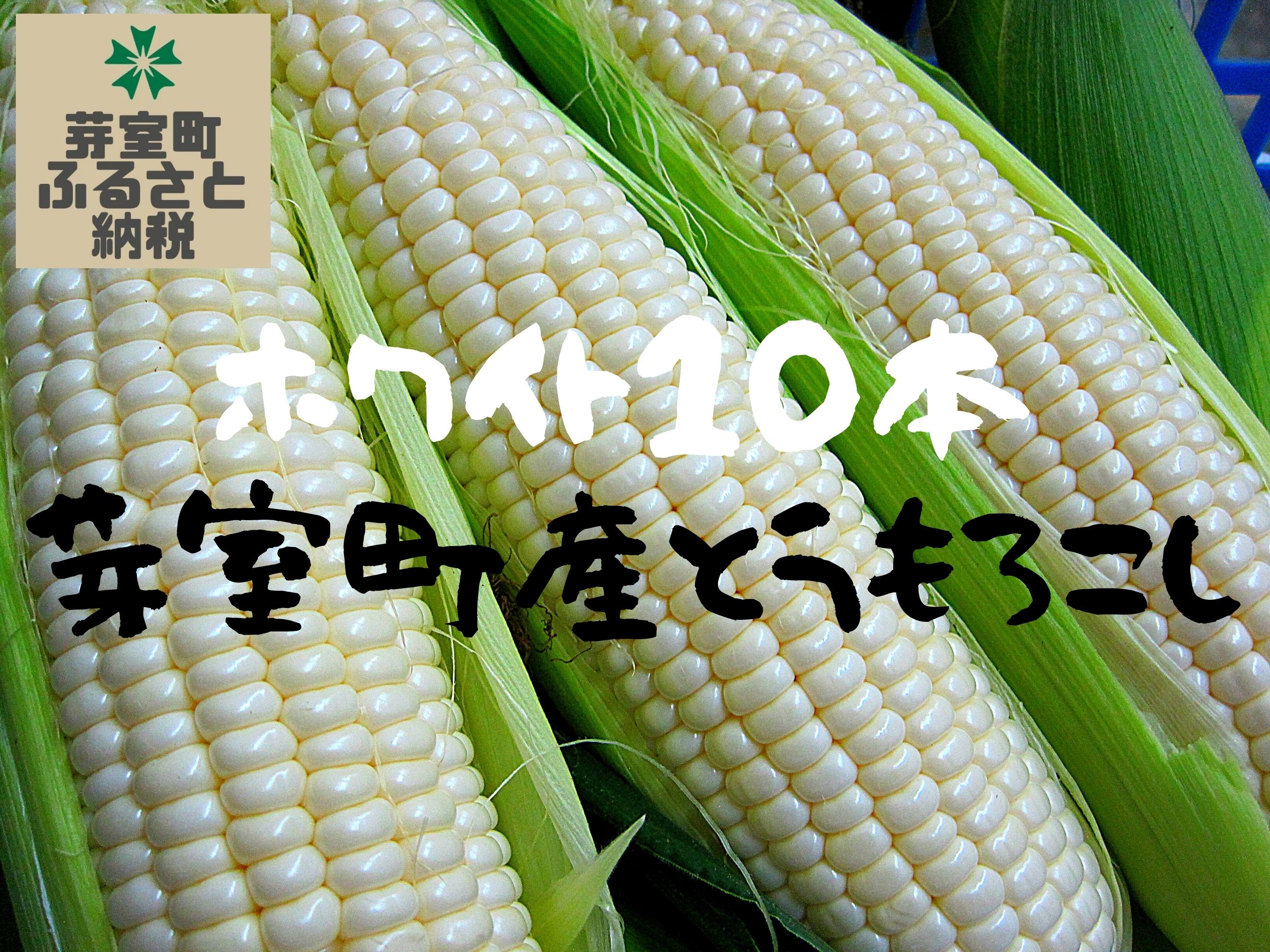 50 Off 楽天市場 ふるさと納税 愛菜屋のめむろ産とうもろこし ホワイト10本 北海道芽室町 超特価激安 Lexusoman Com