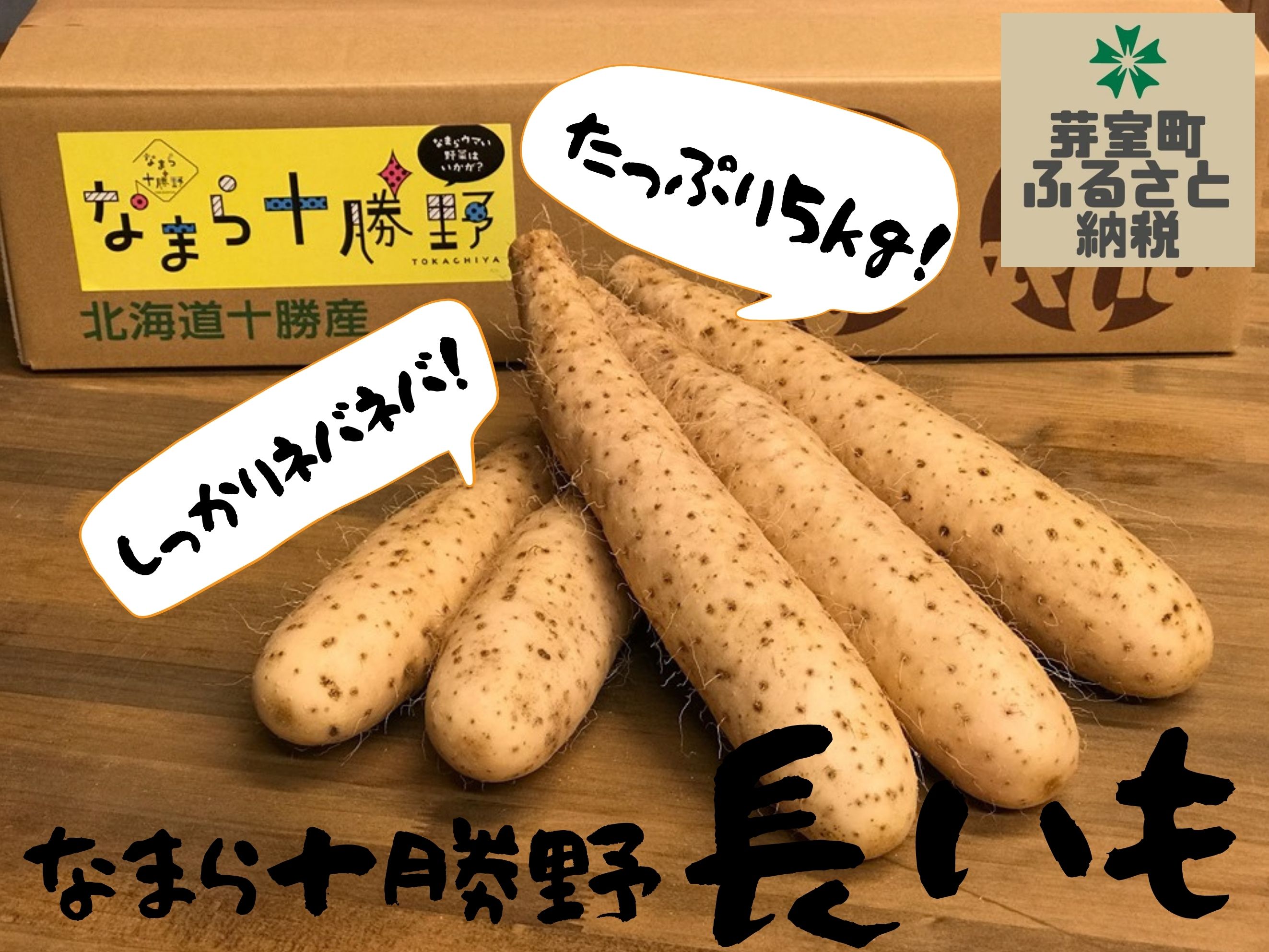 ふるさと納税 山芋 自然薯 なまら十勝野の長いも 5kg ふわとろ焼きレシピ付き 北海道芽室町しっかりとした粘りが特徴の長いもです