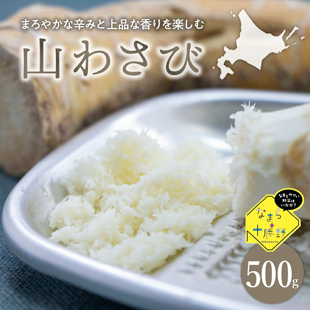 【ふるさと納税】なまら十勝野の 山わさび 500g 山葵 西洋わさび ホースラディッシュ 先行受付 北海道 十勝 芽室町