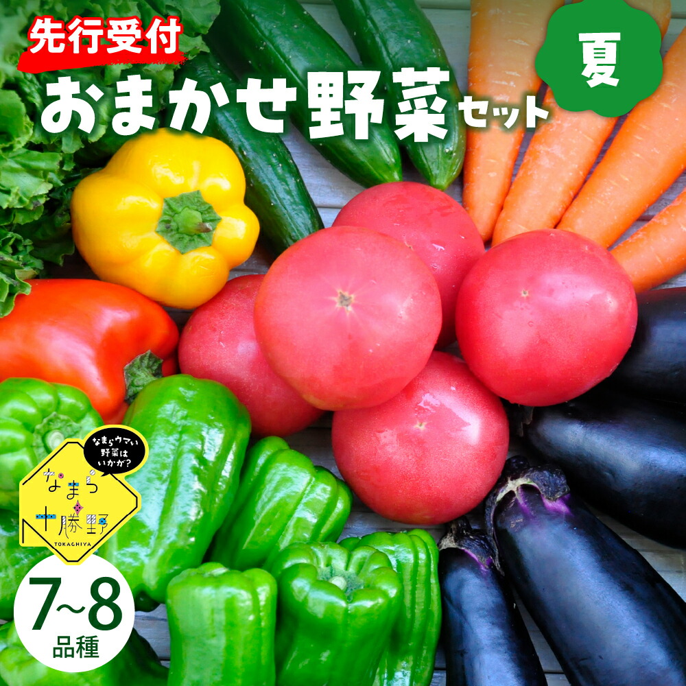 【ふるさと納税】【先行予約】【2025年8月より発送】産地直送 なまら十勝野の 季節のおまかせ 野菜 セット 夏<br><br>詰合せ 旬 食品 グルメ 送料無料 冷蔵発送 北海道 十勝 芽室町