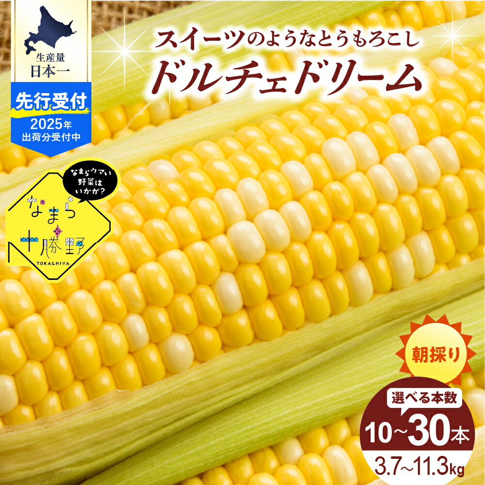 【ふるさと納税】【 2025年分 先行予約 】 とうもろこし ドルチェドリーム ( 本数が選べる : 10本 20本 30本 ) <br><br> /スイートコーン バイカラー コーン とうきび 野菜 送料無料 お取り寄せ 北海道 十勝 芽室町
