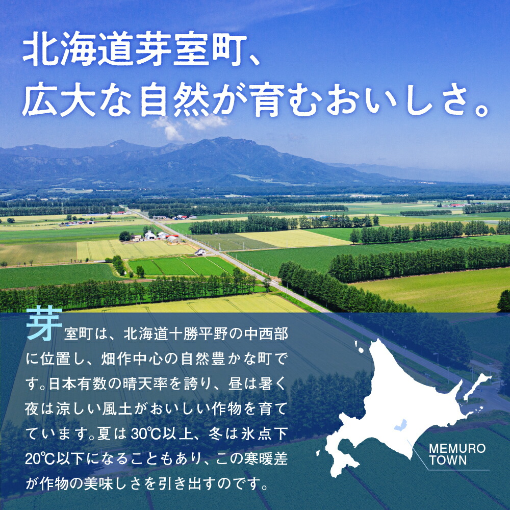 市場 ふるさと納税 幻の マチルダ じゃがいも