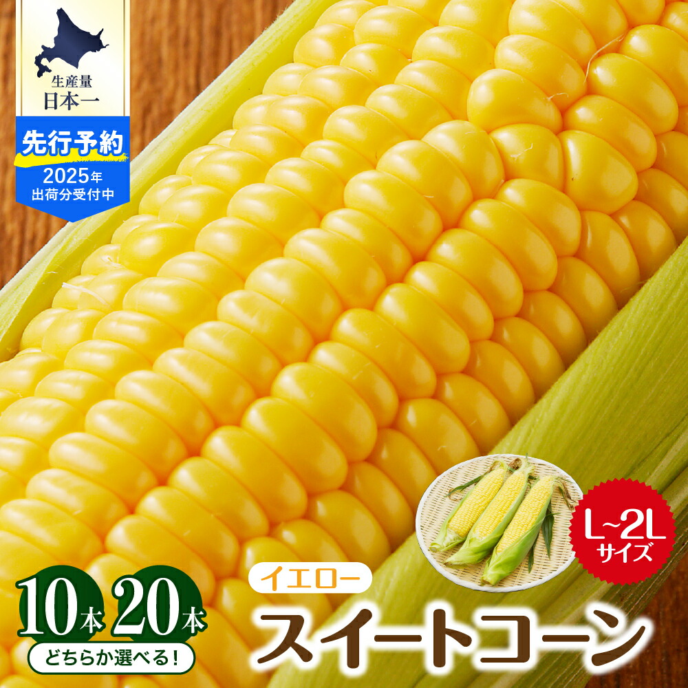 【ふるさと納税】【2025年産 先行予約】 とうもろこし 生産量 日本一 楽天 ランキング 1位 獲得 北海道 芽室町産 スイートコーン イエロー種  (選べる本数 : 10本 20本)  L ～ 2L サイズ<br><br>人気 キャンプ飯 BBQ ソロキャン コーン 生 甘い 野菜 北海道 十勝 芽室町