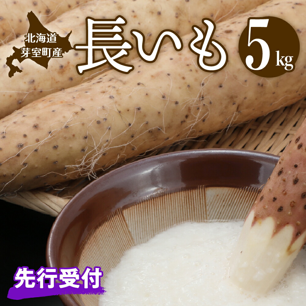 【ふるさと納税】【先行予約】長いも 約 5kg  <br><br>【2025年11月より配送予定】先行受付 ながいも とろろ 根菜 青果 お取り寄せ 送料無料 北海道 十勝 芽室町