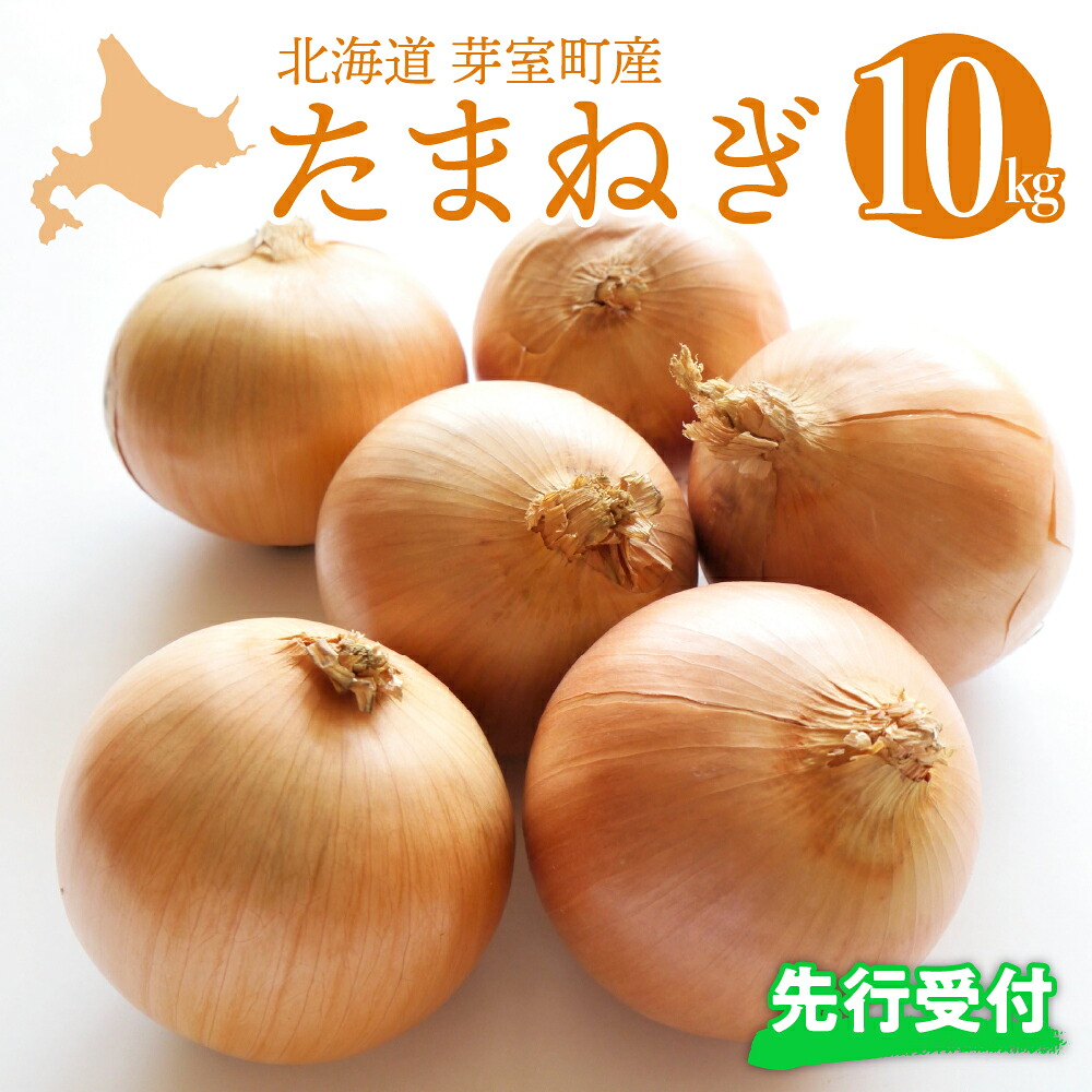 【ふるさと納税】【先行予約】北海道 十勝 芽室産 たまねぎ 10kg 1箱 【2026年10月より配送予定】先行受付 玉ねぎ 玉葱 タマネギ オニオン 野菜 ベジタブル 産地直送 新鮮 送料無料 お取り寄せ 10キロ 大容量 北海道産 道産 国産 芽室 めむろ 芽室町