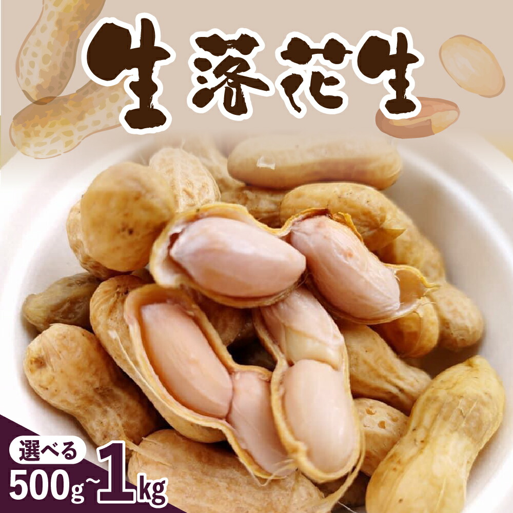 【ふるさと納税】【先行予約】生落花生(洗い)500g 1kg 内容量が選べる 落花生豆 ピーナッツ おつまみ おやつ 冷蔵便 送料無料 北海道 十勝 芽室町
