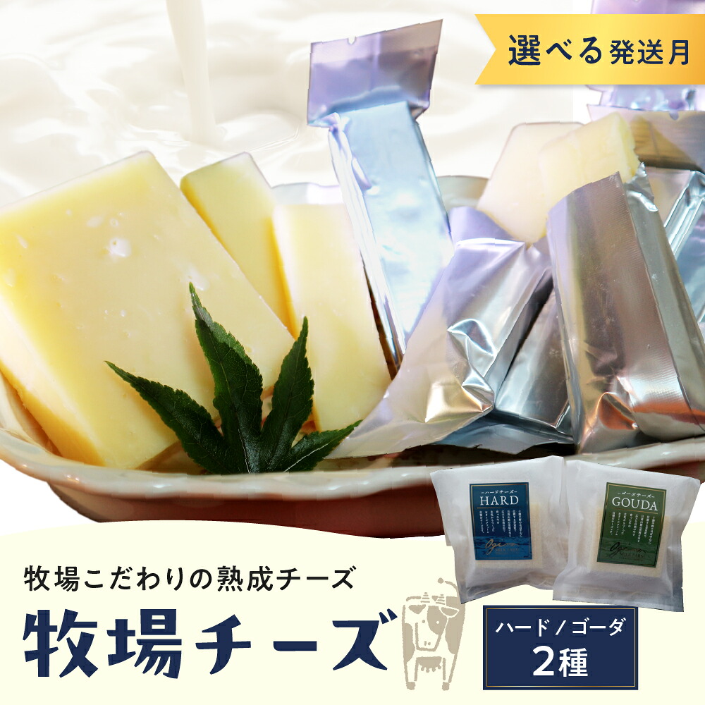 【ふるさと納税】【選べる配送月】 牧場 チーズ 2種類 セット / ハードチーズ ゴーダチーズ 熟成チーズ HARD GOUDA ブロック スティック お取り寄せ ご当地 送料無料 北海道 十勝 芽室町|北海道芽室町