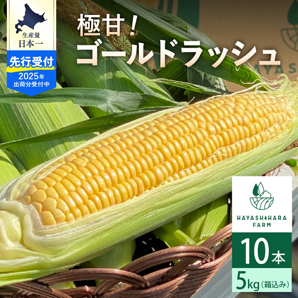【ふるさと納税】【 先行予約 2025年分】 極甘 とうもろこし  ゴールドラッシュ 10本 (5kg) <br><br>期間限定 トウモロコシ とうきび コーン フレッシュ 甘い 産地直送 特産 特産品 北海道産 道産 お取り寄せ 冷蔵 国産 北海道 十勝 芽室町