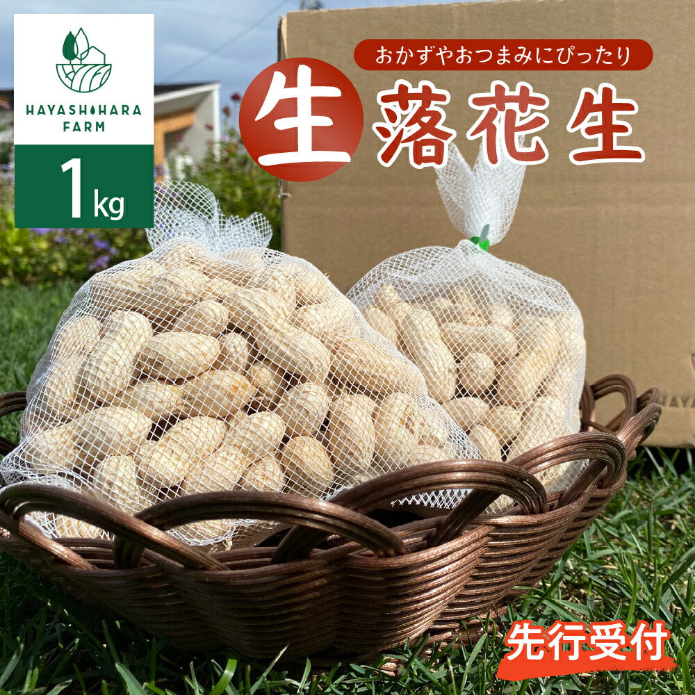 【ふるさと納税】【 先行予約 2025年出荷分】 生落花生 茹で用 郷の香 1kg ( 500g ×2袋 ) <br><br>さとのか 大粒 落花生 らっかせい 生らっかせい 生 豆 ピーナッツ ナッツ おやつ おつまみ つまみ おかず 冷蔵 予約 先行受付 秋 旬 国産 北海道十勝芽室町