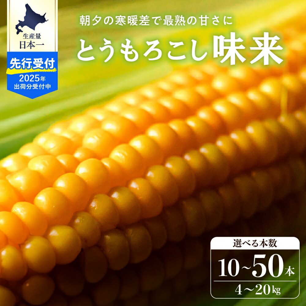【ふるさと納税】【 2025年 先行予約 】と うもろこし 味来 (選べる : 10本 / 20本 / 30本 / 40本 ) <br>北海道産 朝どれ スイートコーン ハニーバンダム みらい トウモロコシ とうきび 生 野菜 黄色 産地直送 送料無料 期間限定 数量限定お 贈答 北海道 十勝 芽室町 めむろ