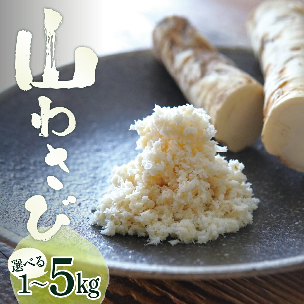 【ふるさと納税】十勝産 山わさび 土付き 選べる内容量 1kg 3kg 5kg<br><br>ワサビ わさび 生わさび 生 西洋わさび 新鮮 薬味 調味料 産地直送 お取り寄せ グルメ 北海道 十勝 芽室町