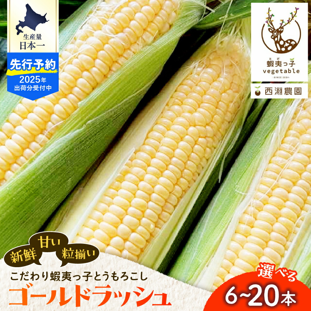 【ふるさと納税】蝦夷っ子 とうもろこし  ゴールドラッシュ (選べる : 6本 / 12本 / 20本 )<br><br>/ 人気 キャンプ飯 BBQ アウトドア ソロキャン バーベキュー 焼肉 トウモロコシ とうきび コーン 甘い 野菜 北海道 十勝 芽室町 めむろ 数量限定