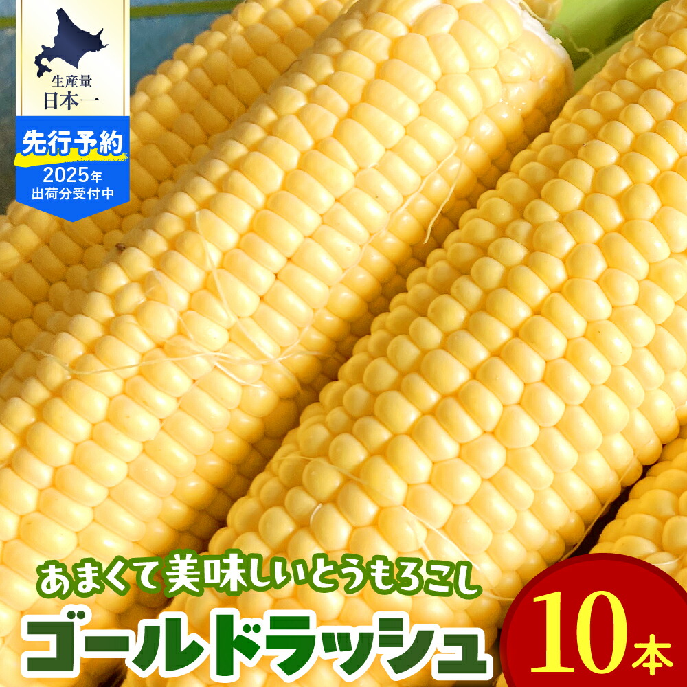 【ふるさと納税】【2025年分先行予約】ゴールドラッシュ 2L サイズ 10本 セット / とうもろこし  スイートコーン 北海道 トウモロコシ コーン 朝採り 採れたて 糖度 野菜 新鮮 BBQ 送料無料 北海道十勝 芽室町