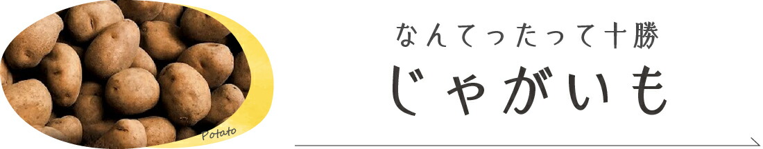 楽天市場】【ふるさと納税】小豆 フリーズドライ あずき物語り 45g 北海道 十勝 芽室町 1000円 ぽっきり 送料無料 お買い物マラソン :  北海道芽室町