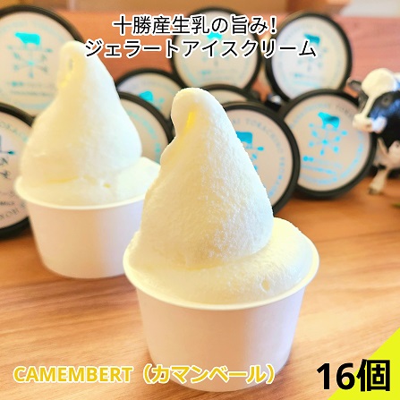 【ふるさと納税】十勝産生乳の旨み！カップアイス 16個セット CAMEMBERT（カマンベール）[C1-17]