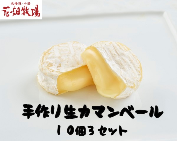 18％OFF SALE 91%OFF ふるさと納税 北海道産の生乳100%使用 花畑牧場の手造りカマンベール10個入り×3袋 P1-23 howtodiy.org howtodiy.org