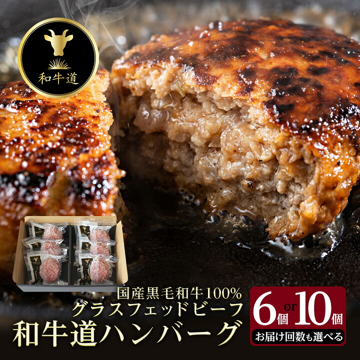 【ふるさと納税】和牛道ハンバーグ120g&times;(6/10)食セット 北海道 大樹町 国産黒毛和牛 全1/3/6/12回_ 肉 お肉 牛肉 黒毛和牛 ブランド牛 十勝姫 ハンバーグ 北海道 大樹町 冷凍 送料無料 贈答 ギフト 【配送不可地域：離島】【G1439972】｜北海道大樹町