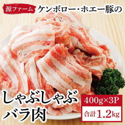 【ふるさと納税】ケンボロー・ホエー豚 しゃぶしゃぶバラ肉1.2kgセット【CT-019】_ 豚肉 ホエー豚 しゃぶしゃぶ 豚 肉 お肉 にく ニク 精肉 国産 バラ肉 バラ しゃぶしゃぶ用 ブランド豚 贈答 ギフト プレゼント 北海道 冷凍 送料無料 【配送不可地域：離島】【1396955】