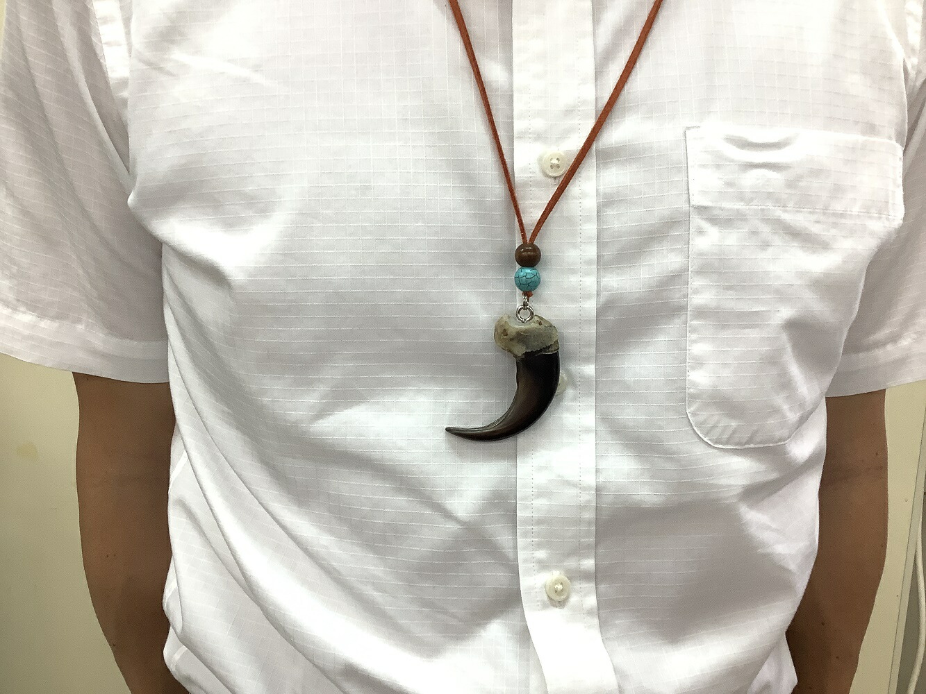 ふるさと納税 クマの爪甲首輪 橙色 Onpointchiro Com