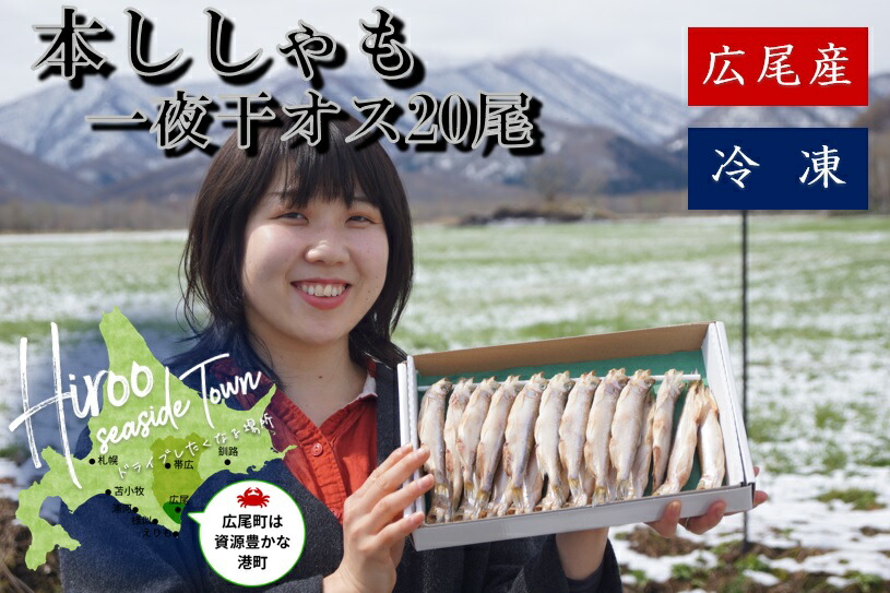 【ふるさと納税】本ししゃも一夜干し3Lオス20尾
