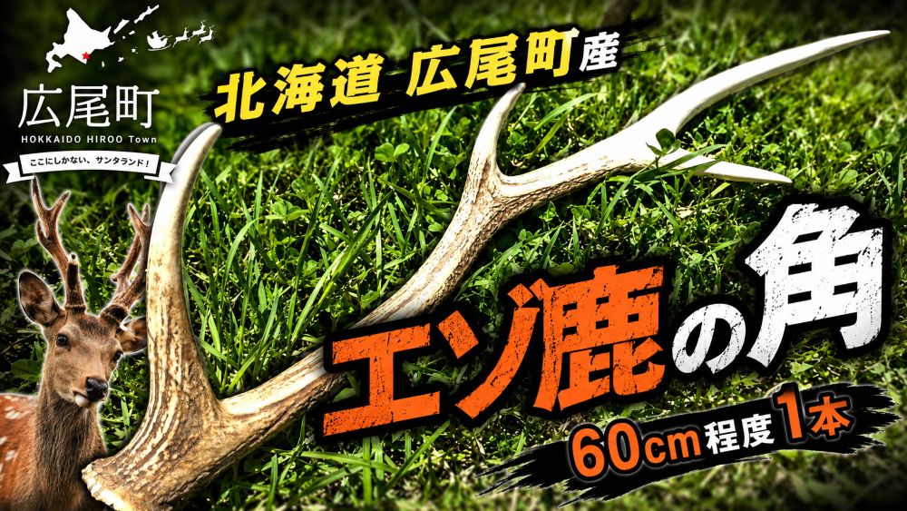 【ふるさと納税】エゾ鹿の角 １本（60糎座標軸）【エゾシカ えぞしか 牡鹿の角 鹿角 手工芸品 室内装飾 狩り立てる】(0124)