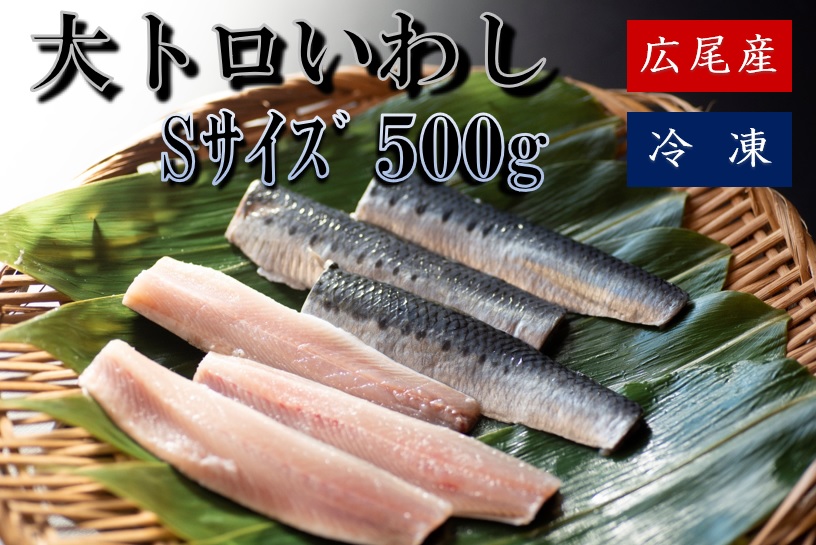 【ふるさと納税】大トロいわし　フィレ　Ｓサイズ　500g【ハラール認証済み】(AM0006)
