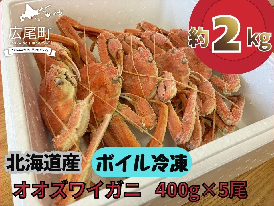 【ふるさと納税】北海道産ボイルオオズワイガニ400g×5尾　合計2kg以上【かに　カニ　蟹　海産物　海鮮　冷凍　ボイル　オオズワイガニ　北海道】(AM0011)