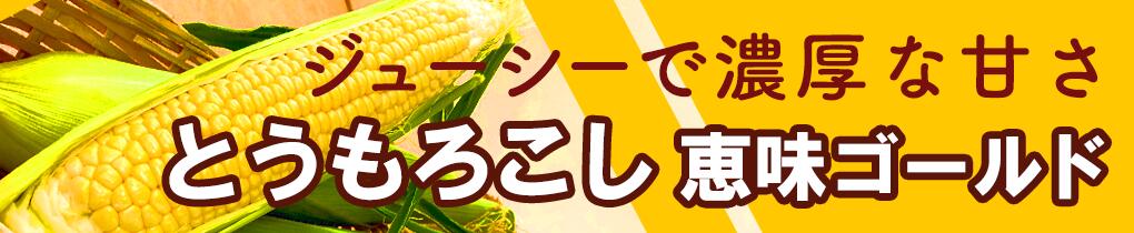 楽天市場】【ふるさと納税】熟成インカのめざめ［フライドポテト］1kg 