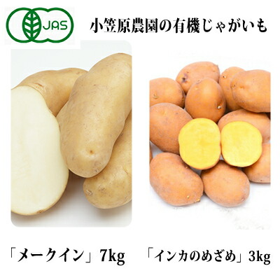 ふるさと納税 小笠原栽培所の有機じゃがいも2もと詰合せ メーク旅寓7kg インカのめざめ3kg 北海道十勝幕別 21年歳秋節一倍順次荷送り 蔬菜 じゃがいも しつらえる 詰合せ お届け 21年9月明り下旬 12月下旬 Onemedia Co Uk