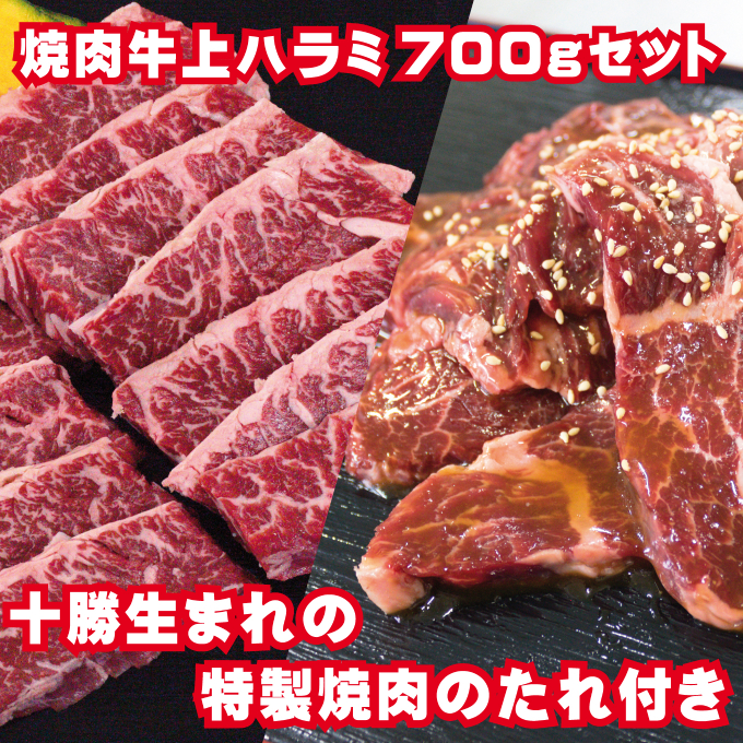 牛上ハラミ サガリ 700g お届け タレ付き焼肉セット