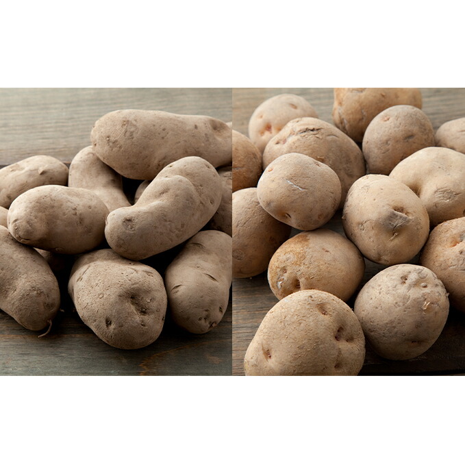 ふるさと納税 じゃがいも2種詰合せ メークイン10kg 北あかり10kg 十勝幕別 北海道ホープランド農場 じゃがいも 野菜 セット 詰合せ お届け 21年10月下旬 22年2月末 Umu Ac Ug