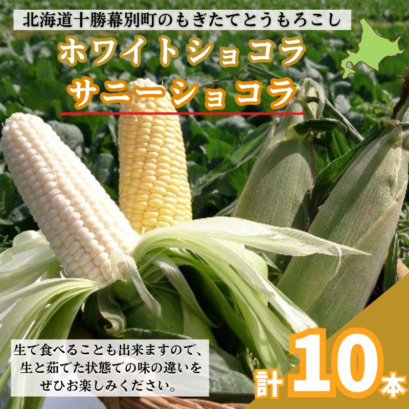 【ふるさと納税】［先行予約/2025年］もぎたてとうもろこし黄・白 計10本セット [北海道ホープランド農場]【 とうきび トウモロコシ とうもろこし 野菜 夏野菜 フルーツ 北海道 十勝 幕別 】 　お届け：2025年9月上旬～2025年9月下旬