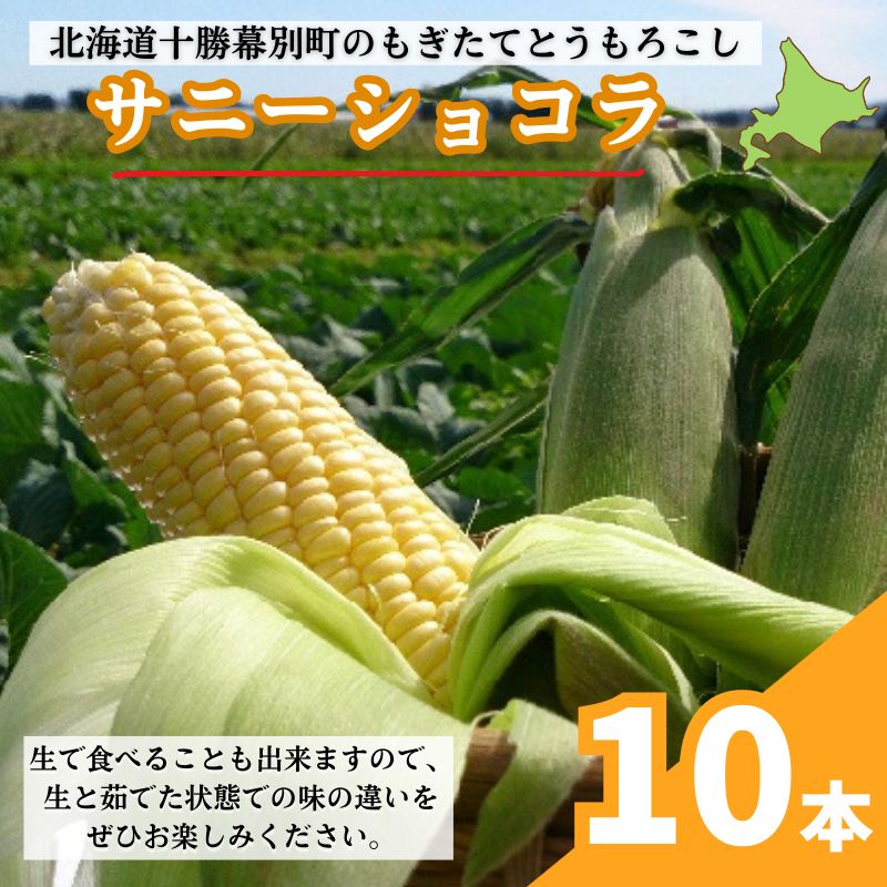 【ふるさと納税】［先行予約/2025年］もぎたてとうもろこし黄10本 [北海道ホープランド農場]【 とうきび トウモロコシ とうもろこし 野菜 夏野菜 フルーツ 北海道 十勝 幕別 】 　お届け：2025年9月上旬～2025年9月下旬