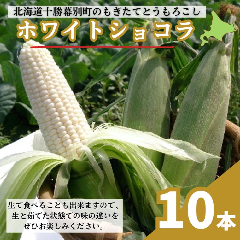 【ふるさと納税】［先行予約/2025年］もぎたてとうもろこし白10本 [北海道ホープランド農場]【 とうきび トウモロコシ とうもろこし 野菜 夏野菜 フルーツ 北海道 十勝 幕別 】 　お届け：2025年9月上旬～2025年9月下旬