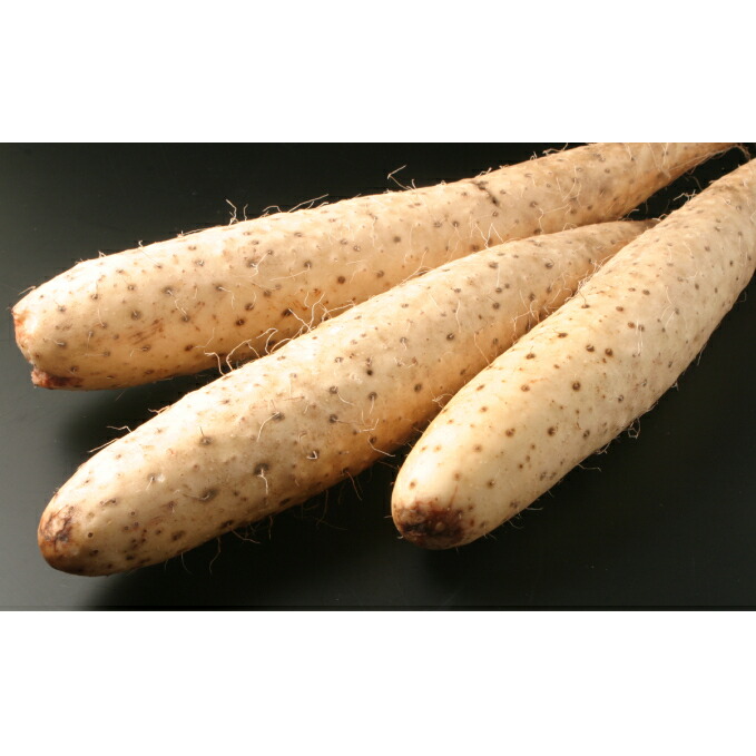 【ふるさと納税】北海道十勝幕別産 長いもAL 約10kg 野菜