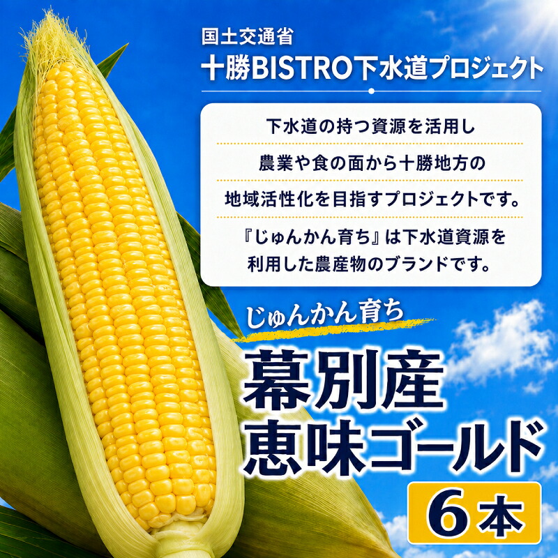 【ふるさと納税】2026年発送先行予約 北海道 十勝 幕別産 とうもろこし 恵味ゴールド 6本「じゅんかん育ち」北王農林［十勝BISTRO下水道プロジェクト］【 とうもろこし とうきび コーン 野菜 フルーツ 甘い 】　お届け：2026年8月1日～2026年8月31日