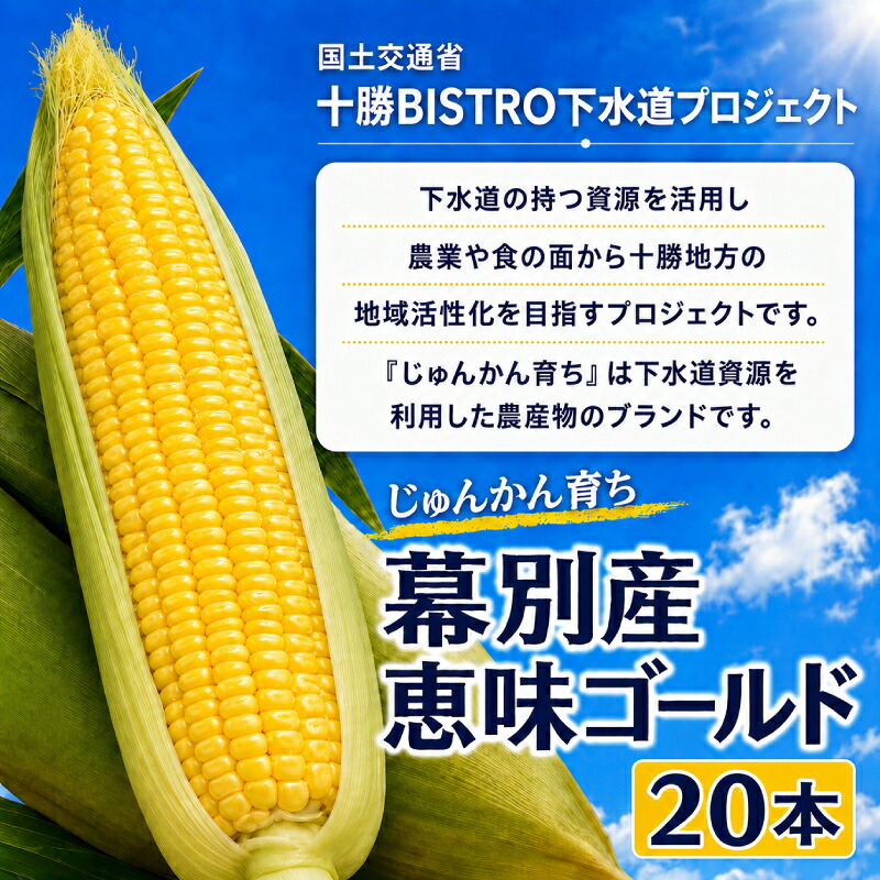 【ふるさと納税】2026年発送先行予約 北海道 十勝 幕別産 とうもろこし 恵味ゴールド 20本「じゅんかん育ち」北王農林［十勝BISTRO下水道プロジェクト］【 とうもろこし とうきび コーン 野菜 フルーツ 甘い 】　お届け：2026年8月1日～2026年8月31日｜北海道幕別町
