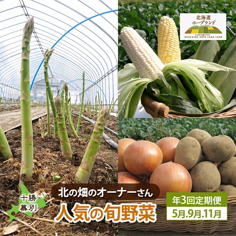 【ふるさと納税】十勝幕別 北の畑のオーナーさん 人気の旬野菜 年3回定期便［2025年5月出荷開始］北海道ホープランド農場 【 アスパラ とうもろこし コーン じゃがいも ジャガイモ 玉ねぎ 野菜 定期便 】　お届け：2026年5月出荷開始