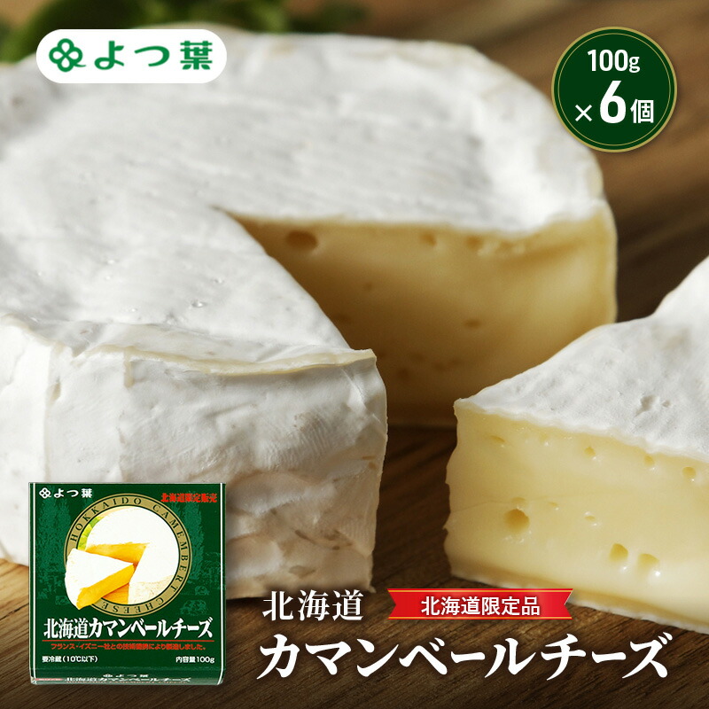 【ふるさと納税】よつ葉 「北海道カマンベールチーズ [北海道限定品]」100g&times;6【 よつ葉 北海道カマンベールチーズ 販売店 新千歳空港 札幌駅 お土産 通販 お取り寄せ 違い 口コミ パッケージ 北海道限定 食べ方 レシピ アレンジ ワイン おつまみ 北海道 十勝 幕別 】｜北海道幕別町